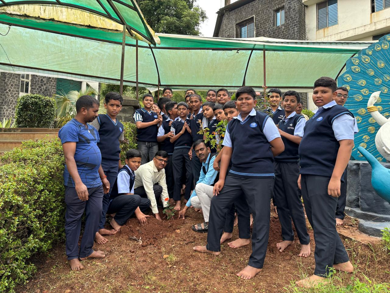 TREE PLANTATION AND CLEALINESS