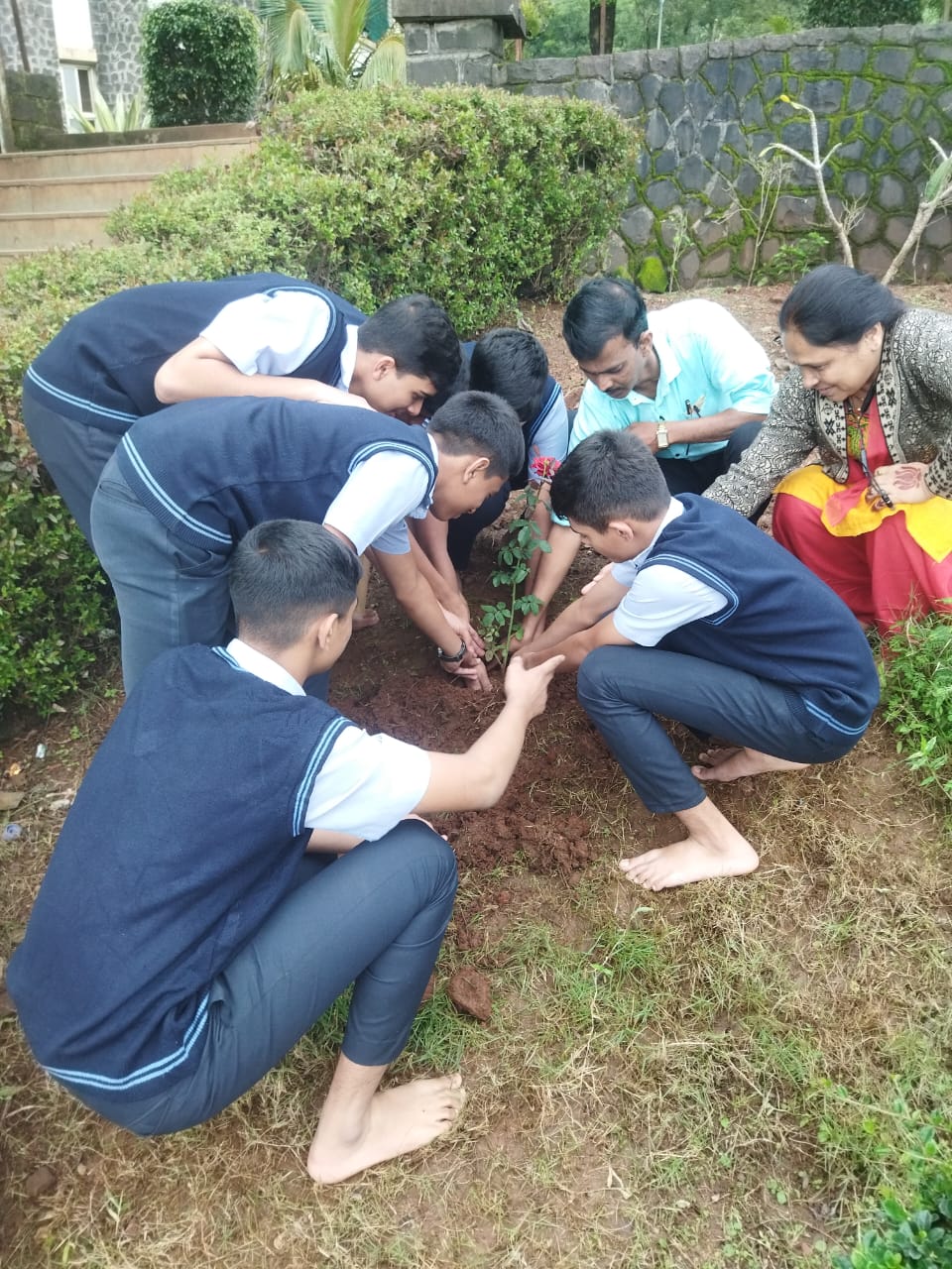 TREE PLANTATION AND CLEALINESS
