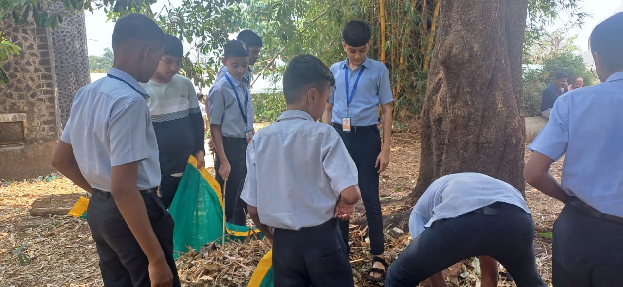 TREE PLANTATION AND CLEALINESS