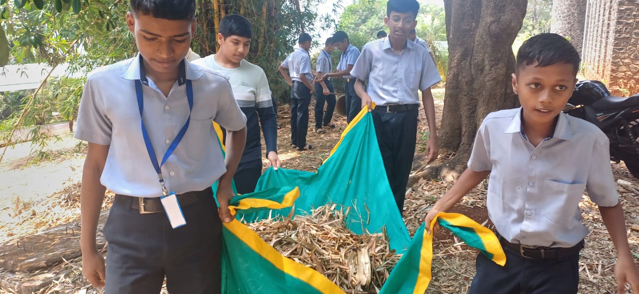 TREE PLANTATION AND CLEALINESS