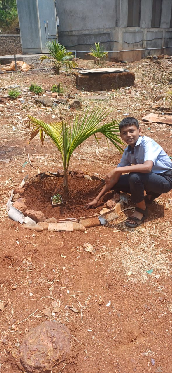 TREE PLANTATION AND CLEALINESS