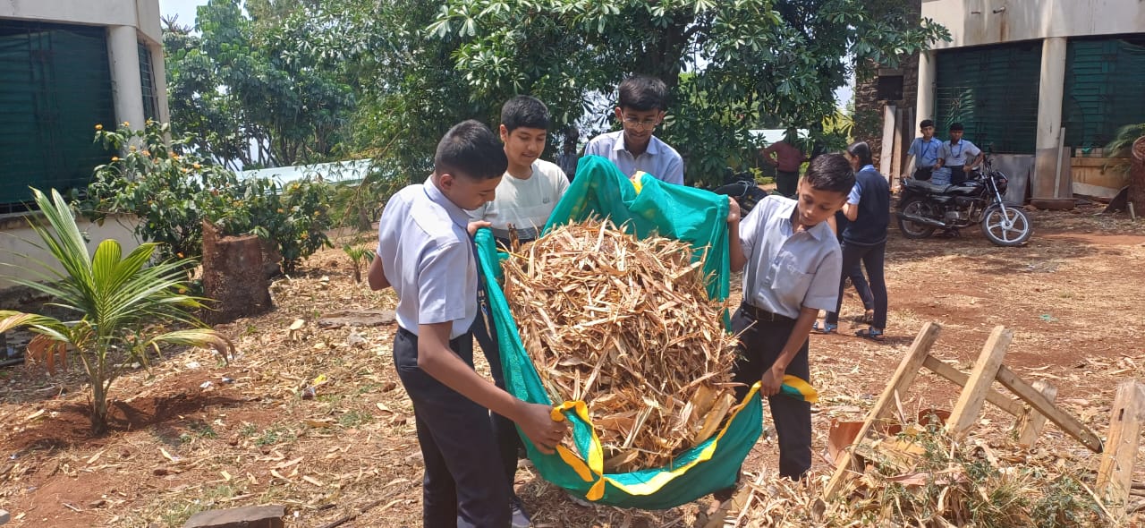 TREE PLANTATION AND CLEALINESS